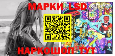 стафф Новозыбков