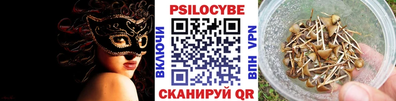 hydra ссылки  сколько стоит  Дальнегорск  Галлюциногенные грибы мухоморы 