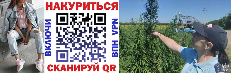 купить наркоту  ссылка на мегу как войти  Шишки марихуана марихуана  Дальнегорск 
